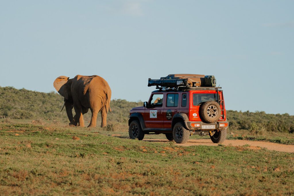 Reisroute zuid afrika