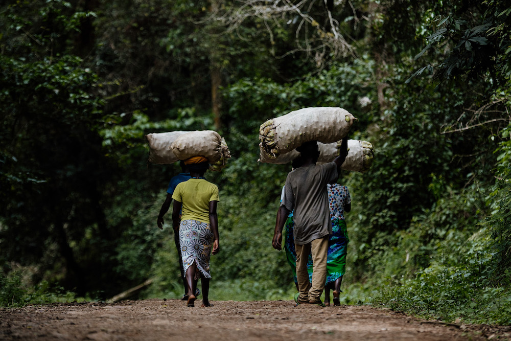 Reizen naar Rwanda local life