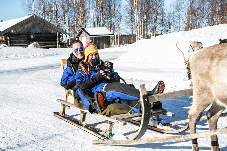Rendier slee lapland finland