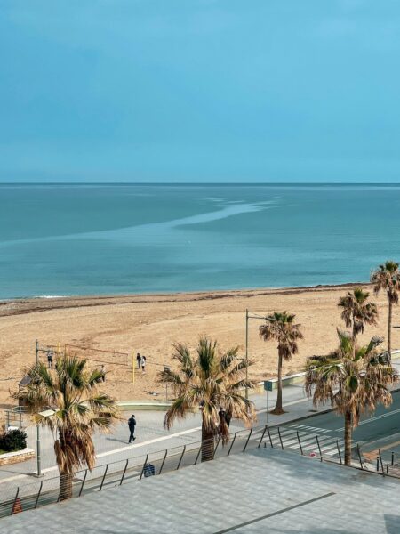 Beach scene with a sandy shore, calm turquoise water, and palm trees along a promenade; a few people walk by the shore under a clear sky.
