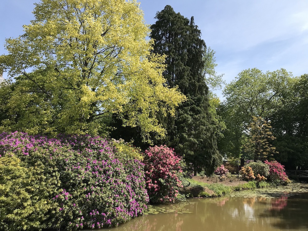 Rhododendrontuin mooiste plekken in nederland top 10