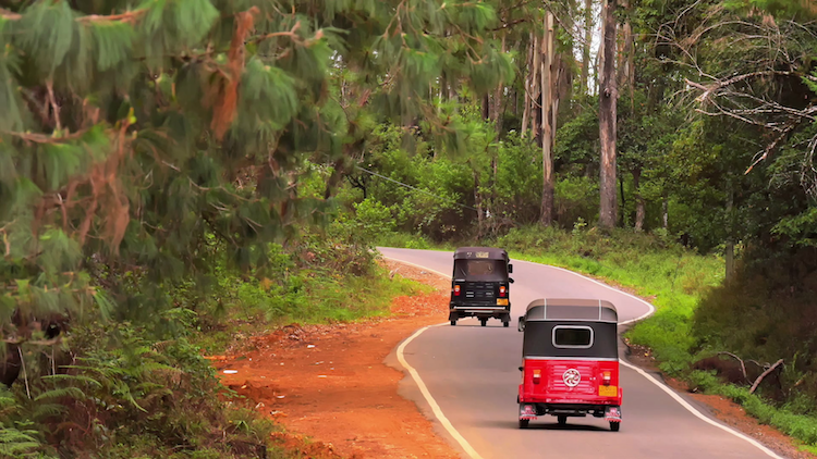 Rij met een tuk tuk door sri lanka tijdens tuk tuk trip
