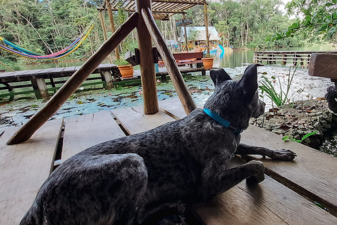 Rio Dulce hostel guatemala