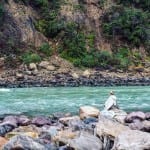 Rishikesh rivier india