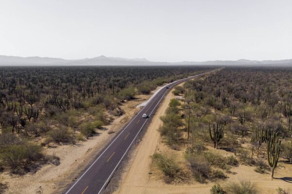 Roadtrip Baja California Sur