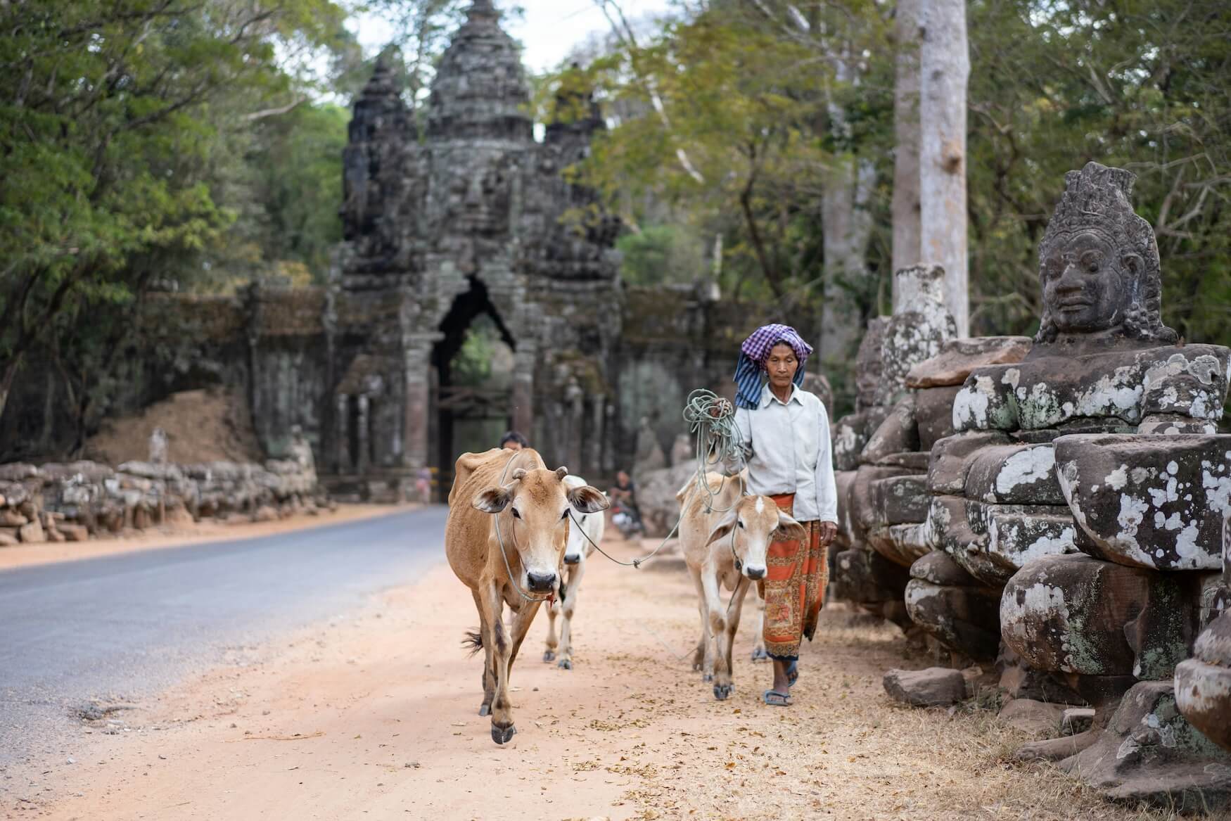 Rondreis Cambodja