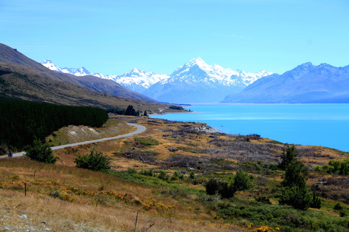 Rondreis Zuidereiland Nieuw Zeeland Pukaki