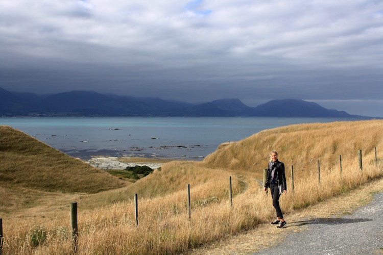 Rondreis Zuidereiland Nieuw-Zeeland hoogtepunten Kaikoura 