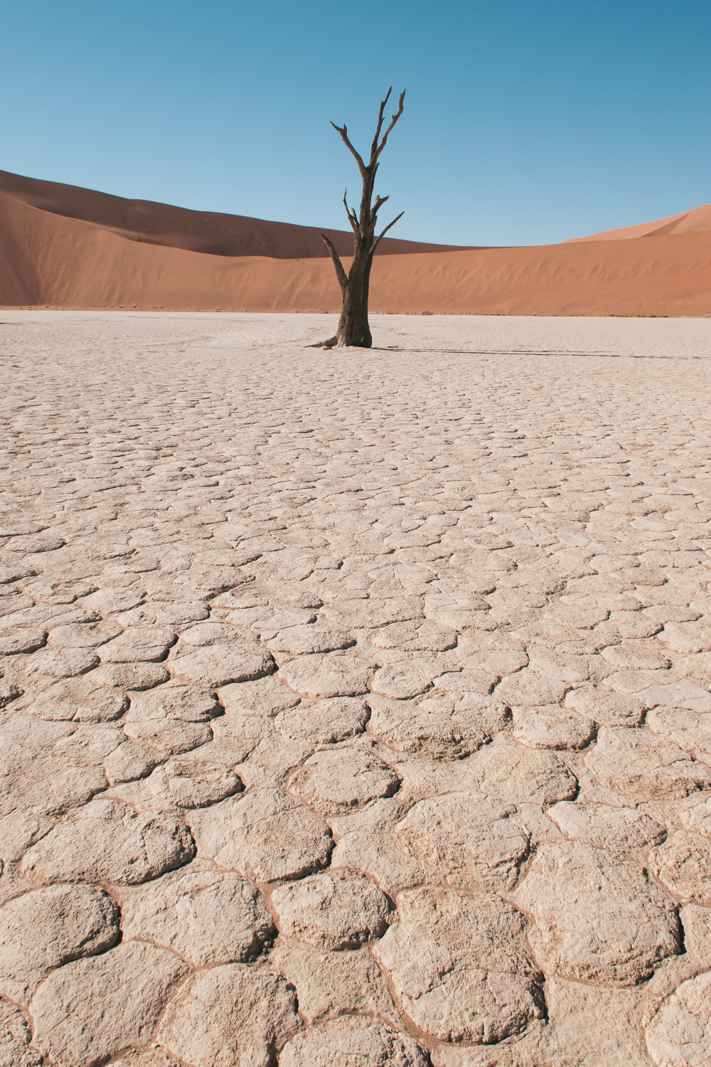 Rondreis namibie deadvlei sossusvlei