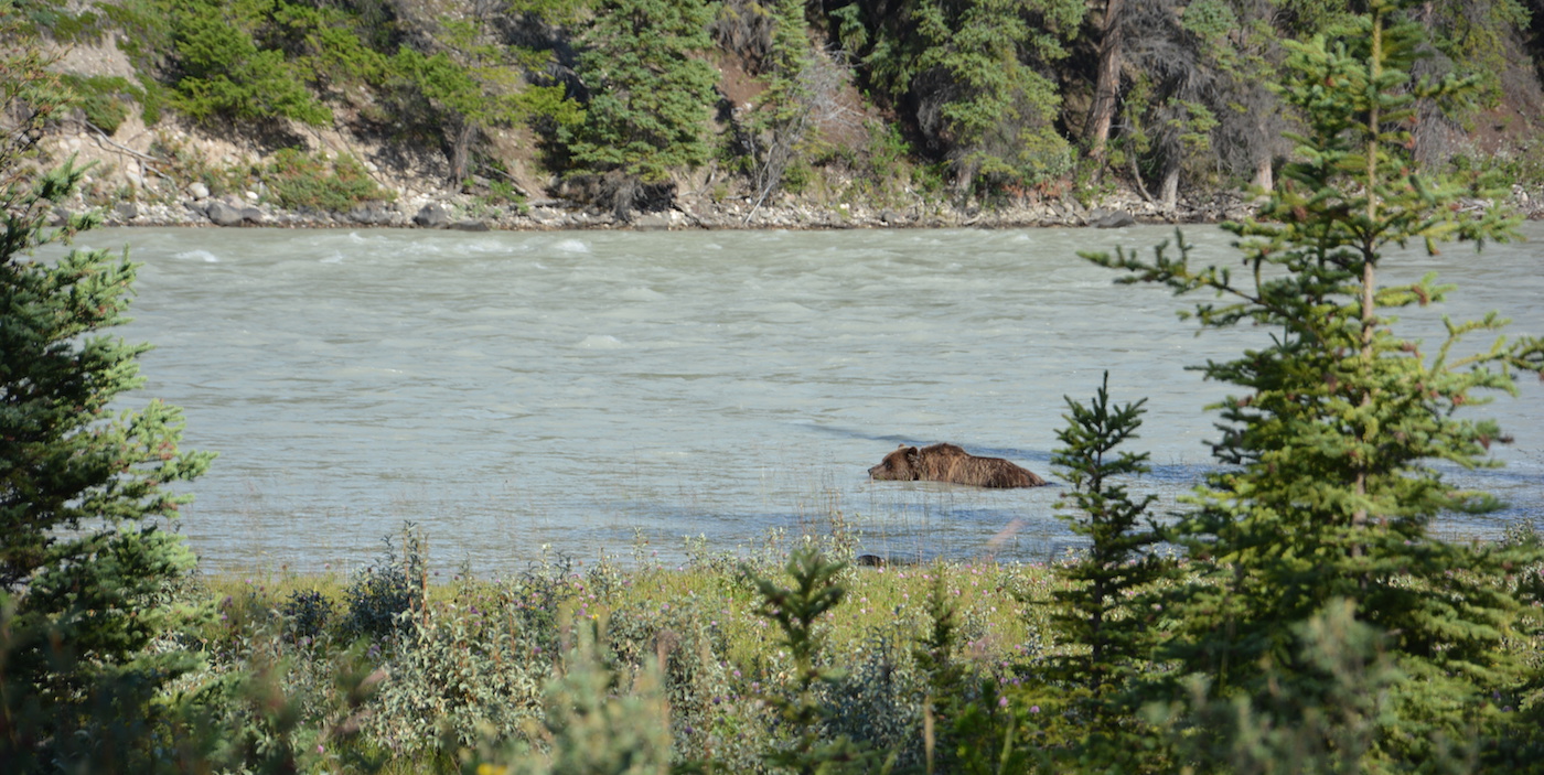 Rondreis route west canada beren