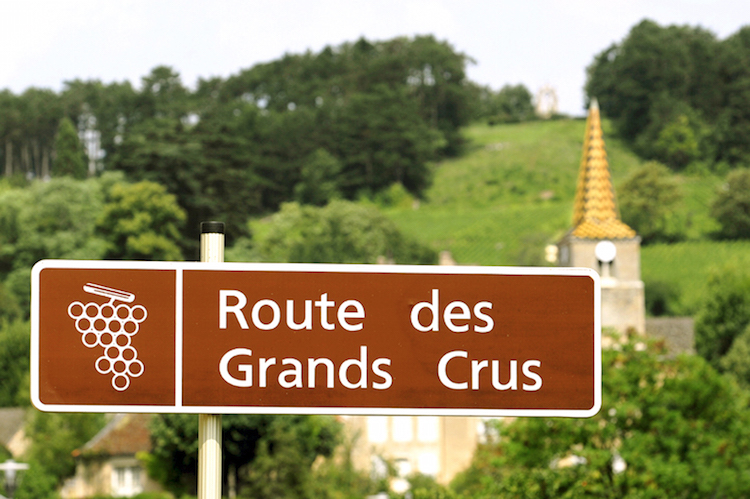 Route des grands crus Bourgogne Alain Doire