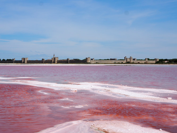 Roze Meer aigues mortes-3