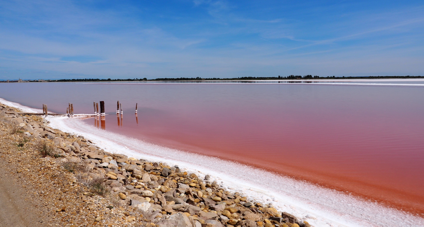 Roze meer in frankrijk bij aigues mortes