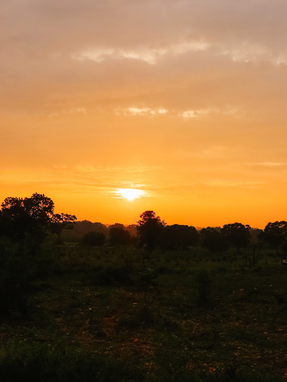 Safari zonsondergang