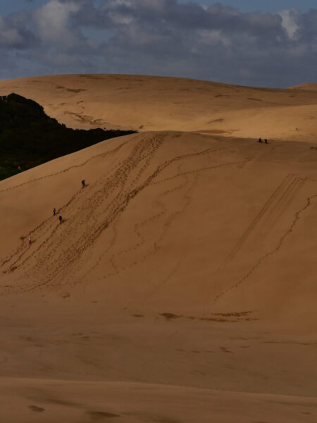 Sand Dunes Cape Reinga