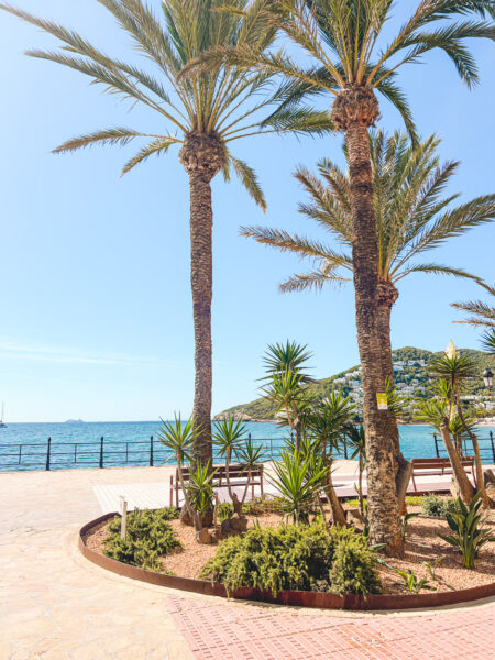 Santa Eularia des Riu