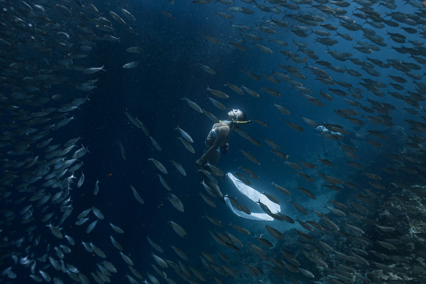 Sardinerun Moalboal filipijnen cebu