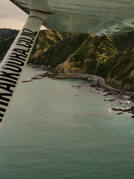 Scenic flight uitzicht Kaikōura
