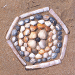 Schelpen strand