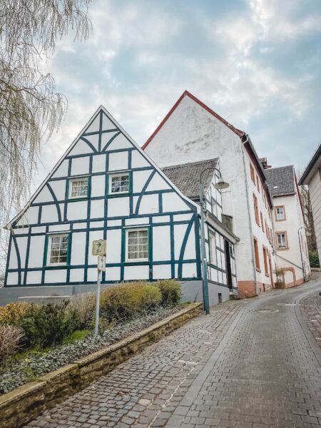 Schleiden