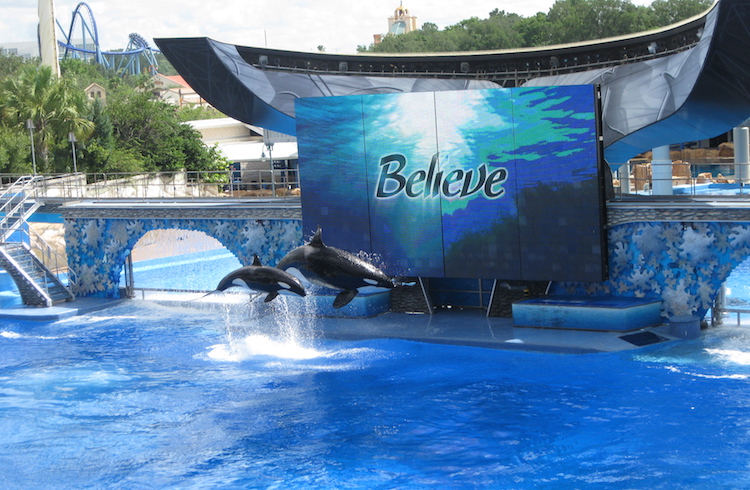 SeaWorld florida