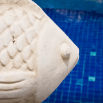 Seashell house zwembad