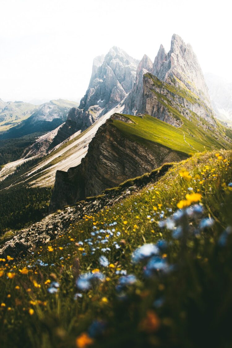 Seceda hiken dolomieten