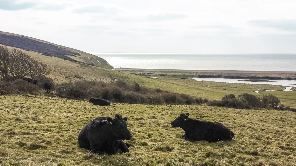Seven Sisters Engeland