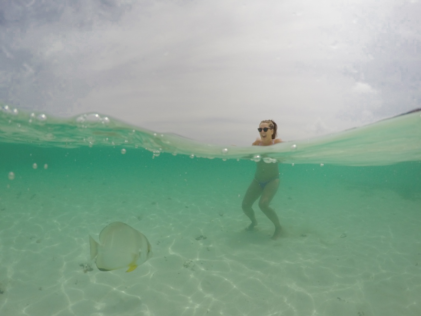 Seychellen La Digue onderwater