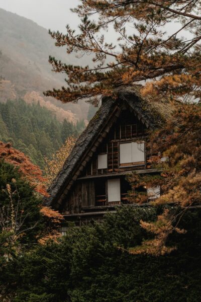 Traditional wooden house with a steep thatched roof tucked among autumn trees on a misty mountain hillside.