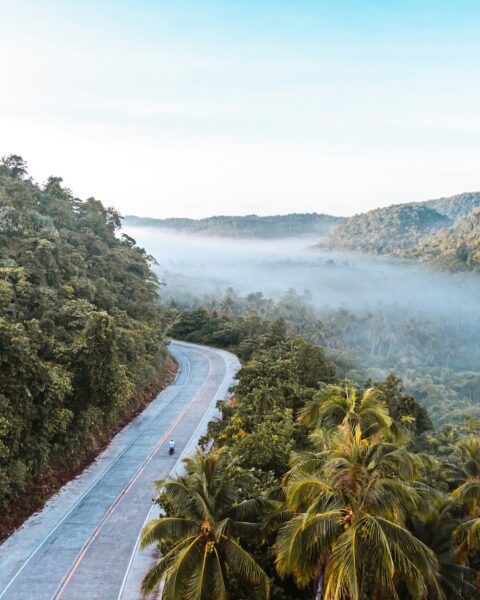Winding road through a lush tropical forest with morning mist hovering over the valley and distant hills, palm trees in the foreground.
