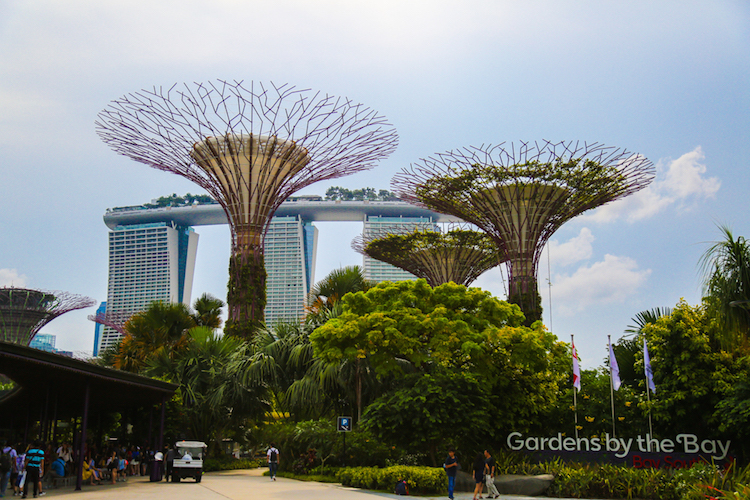Singapore trees en schip hotel gardens by the bay