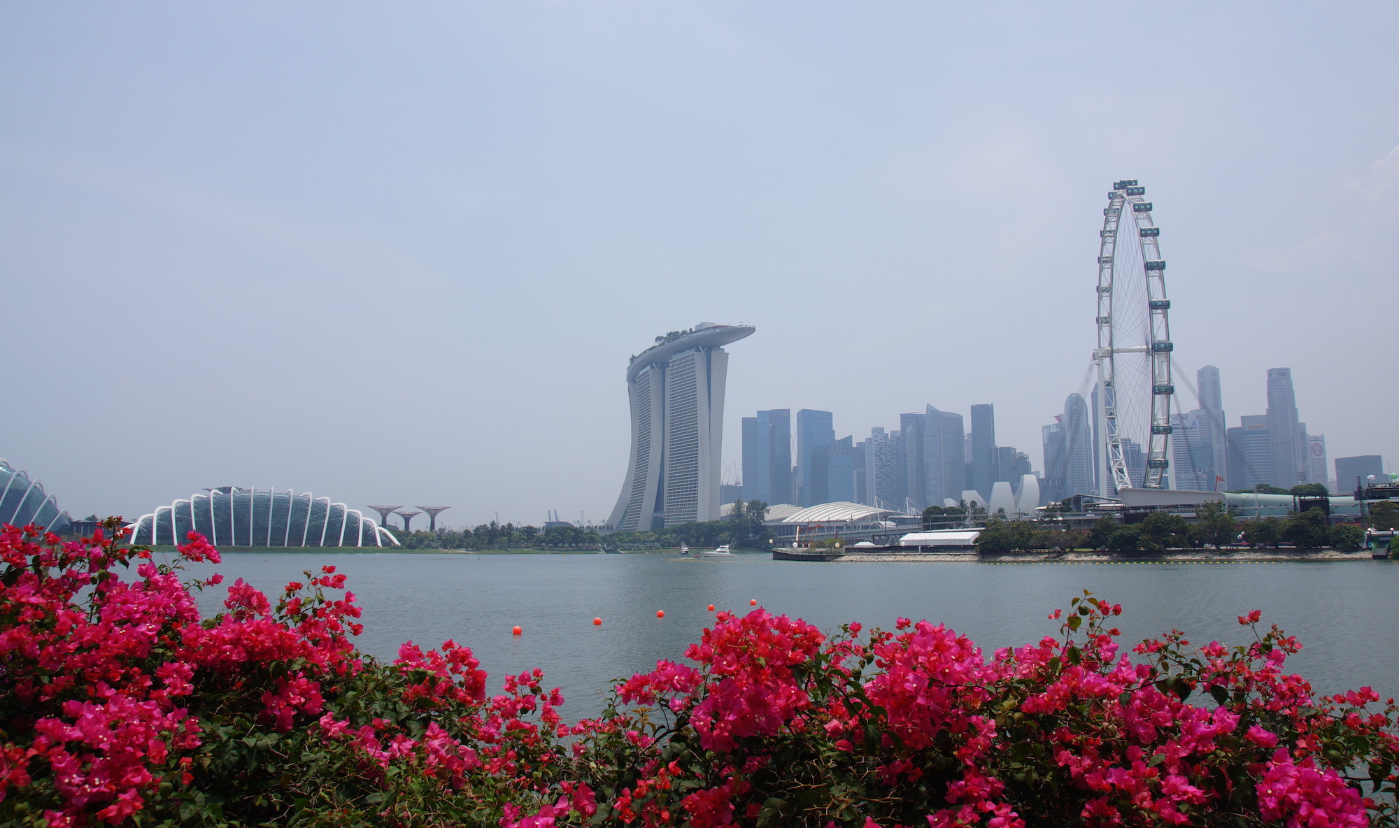 Singapore uitzicht withlocals fietsen