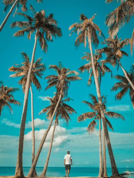 Person stands on a sandy beach among tall palm trees with a blue ocean and sky in the background.