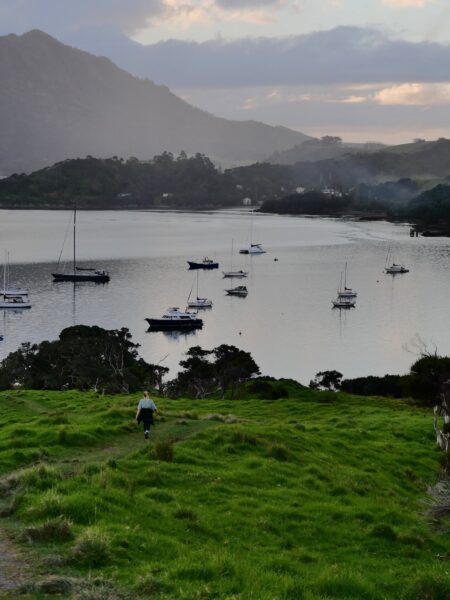 Smugglers Bay Loop Track Waipu NZ