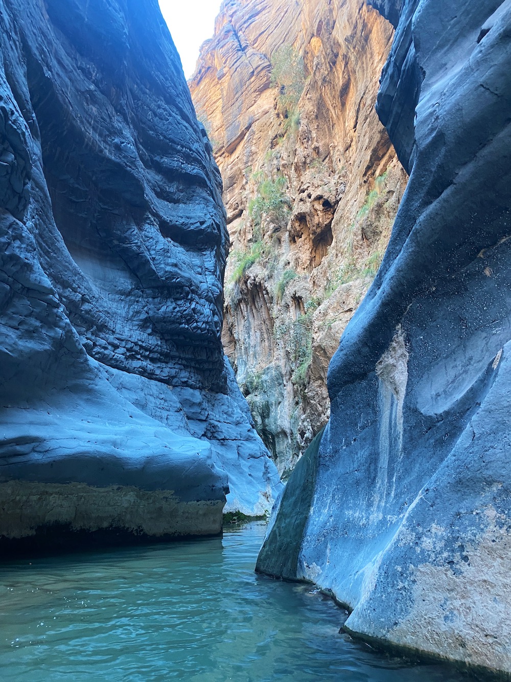 Snake canyon - wadi bani awf
