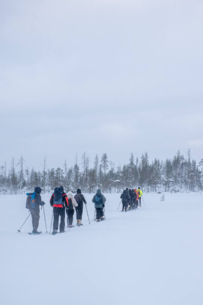 Sneeuwschoenwandeling in Kuusamo