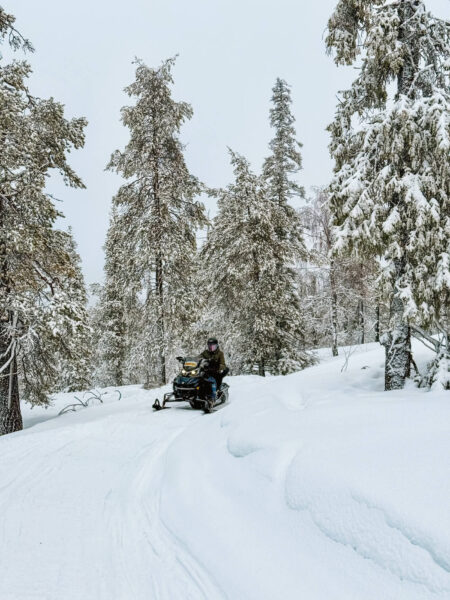 Sneeuwscooter tussen de bomen