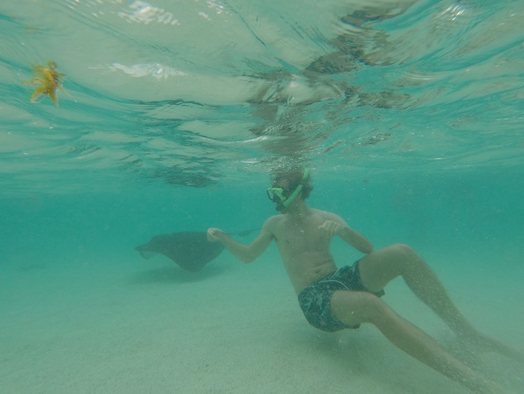 Snorkelen antigua barbuda