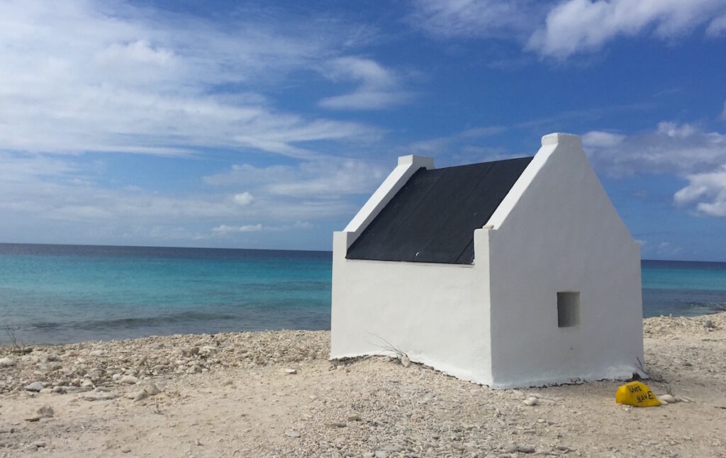 Snorkelen op Bonaire 5 tips