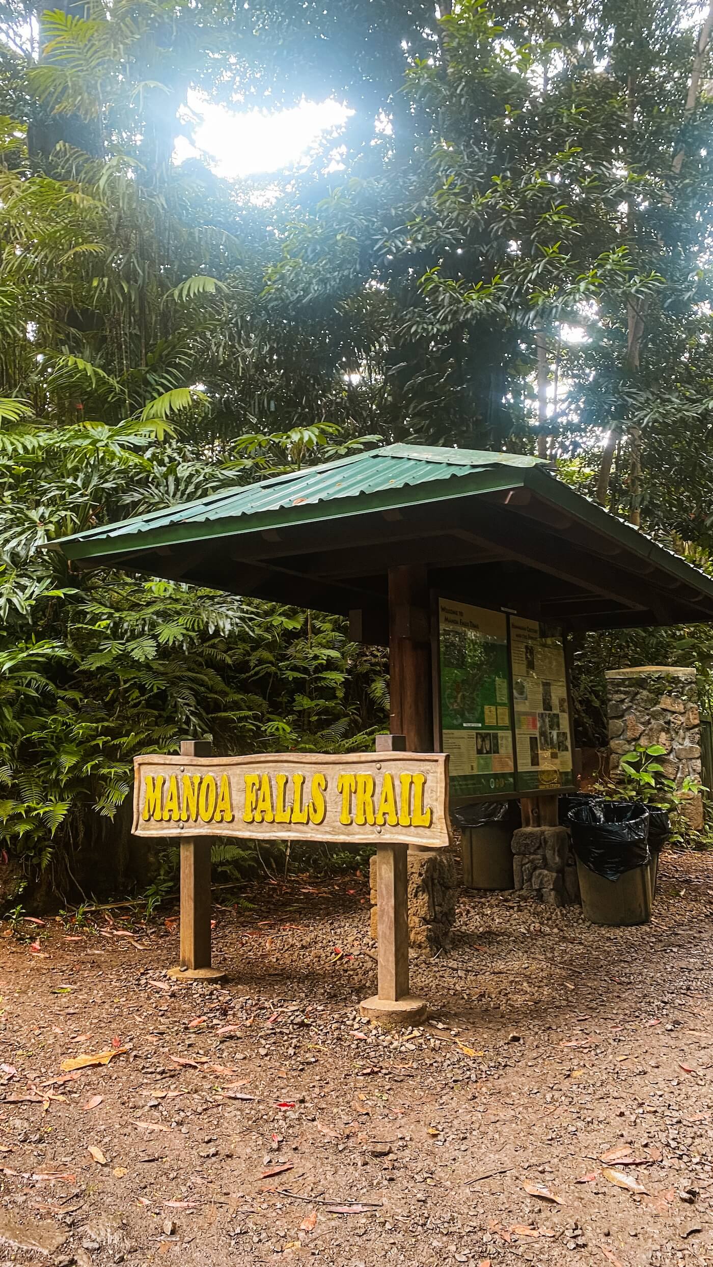 Start van de trail Manoa falls