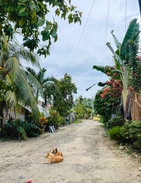 Straatbeeld Port Barton