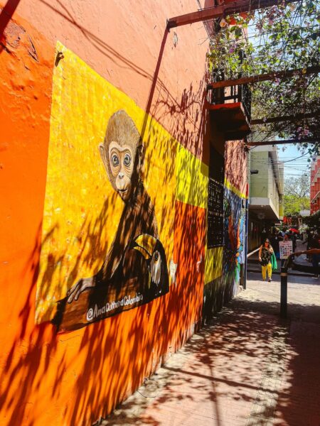 Streetart aapje, Santa Marta