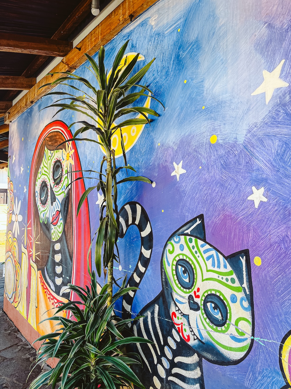 Streetart dorpen, Ruta de las Flores