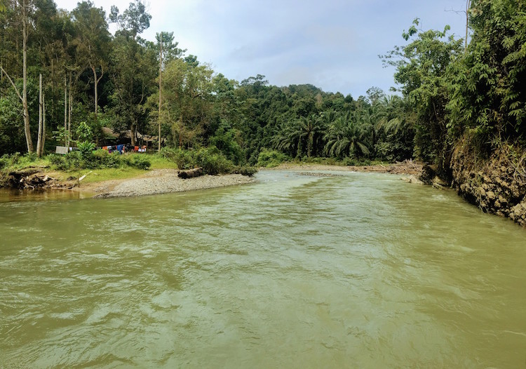 Sumatra Jungle Batu Rongring