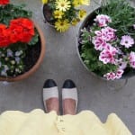 Summershoes van sacha
