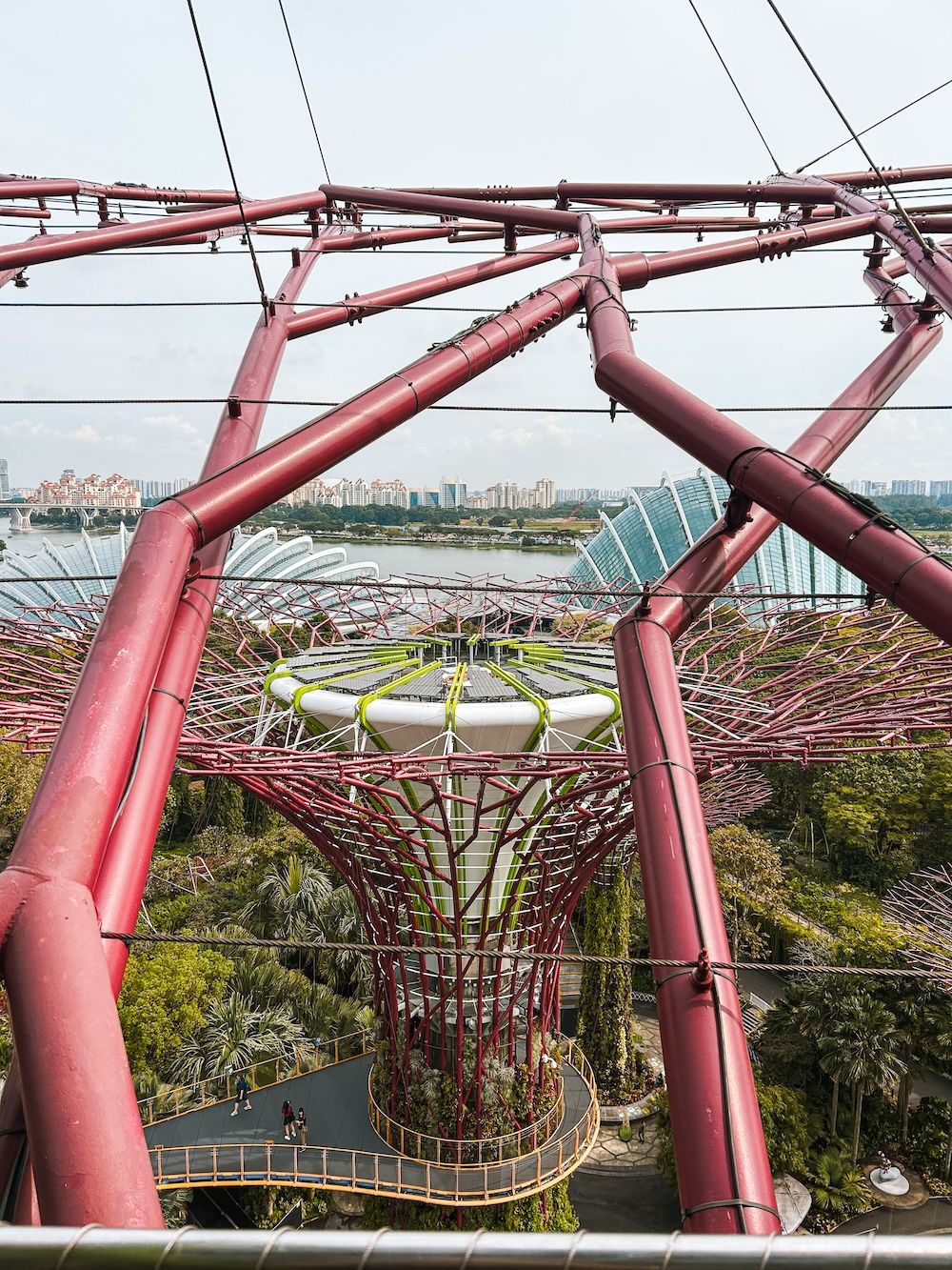 Supertree Observatory, Singapore