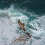 Surfen in Portugal wildkamperen 15