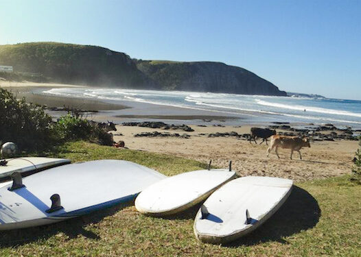 Surfen zuid afrika mdumbi