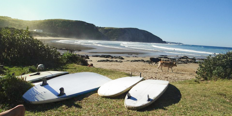 Surfen zuid afrika mdumbi